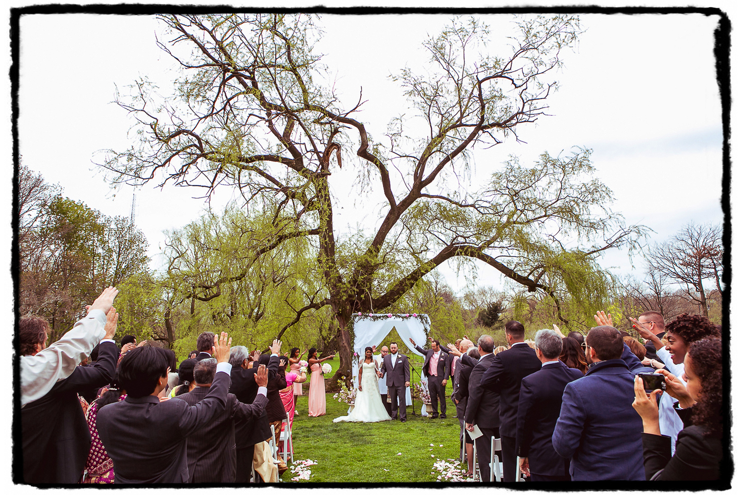 Guests raise their hands as they bless the new marriage under a large willow tree at this April wedding at the Palm House at Brooklyn Botanic Garden.