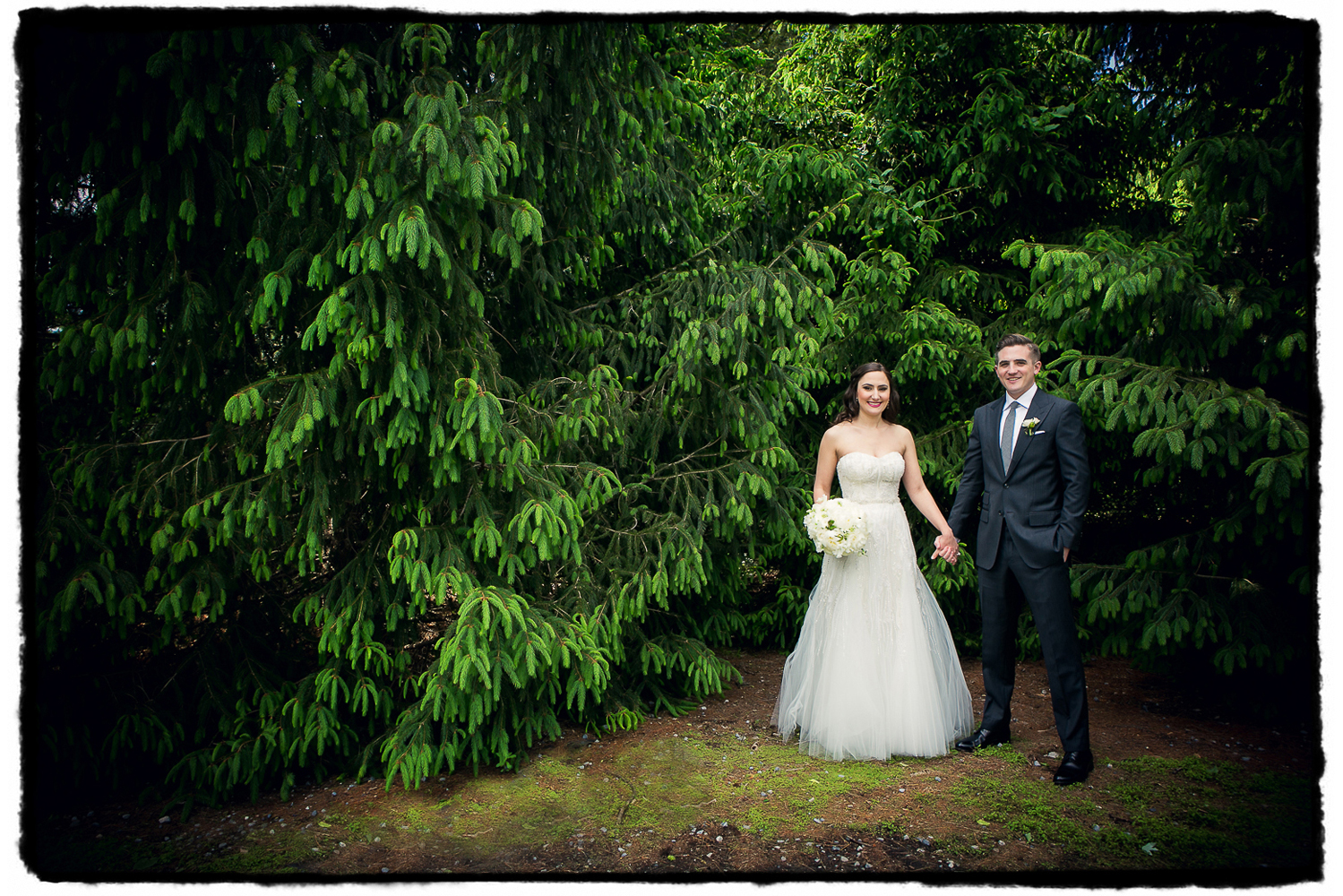 The incredible trees on the grounds at Lyndhurst Castle was the perfect rich background for this couple portrait.